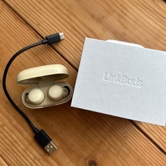 SONY イヤホン