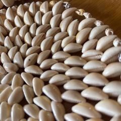 差し上げます　貝殻で作った入れ物　敷物の画像