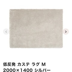 フランフラン　低反発カステラグの画像