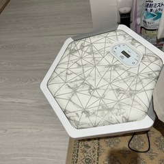 ＥMＳ体幹トレーニングマシン
