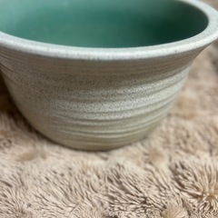 睡蓮鉢の画像