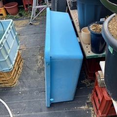 ーー値下げーーらんちゅう、メダカなどにの画像