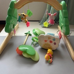 【お譲り先決定】プーメリー 旧型の画像