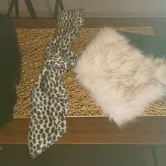 スカーフ1枚 ベルト3本、他3点おまけ 女性限定の画像