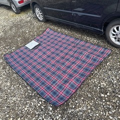 【受付終了】レジャーシートの画像