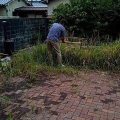 三原市で草刈りします。