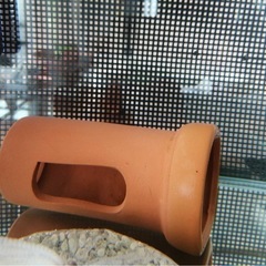 水槽用具とウーパールーパーの画像