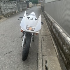 NS1