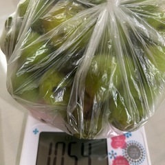 《決定》(๑^ᴗ^)ﾉ ٩(･̑◡･̑๑)梅④約1kg