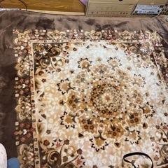 ホットカーペットの画像