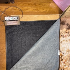 ホットカーペットの画像