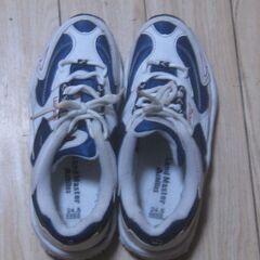 スニーカー　LAND MASTER　24.5㎝