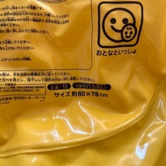 浮き輪　子供　足入れるタイプの画像
