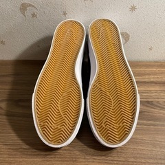 2019A/W NIKE SB ZOOM JANOSKI MID RMの画像