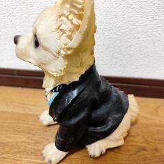 ●わんわん●𓃡チワワ　吠える　センサーの画像