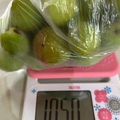 《決定》(๑^ᴗ^)ﾉ ٩(･̑◡･̑๑)梅⑤ 約1kg