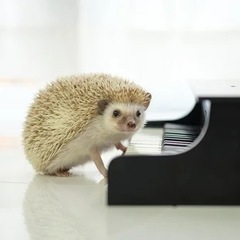 ピアノ教室