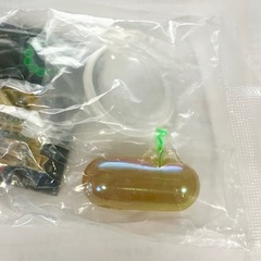 T4ファージ　大腸菌 レインボーパール　イエロー