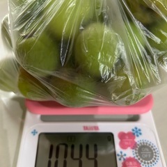 《決定》(๑^ᴗ^)ﾉ ٩(･̑◡･̑๑)梅⑥約1kg