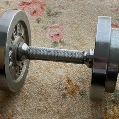 10キロダンベル一個