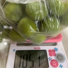 《決定》(๑^ᴗ^)ﾉ ٩(･̑◡･̑๑)梅⑦約1kg