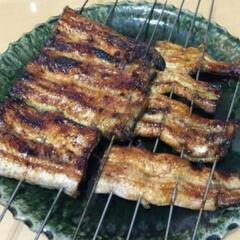 1.うなぎ釣りなら鰻遊会✨　　　　　　ライングルチャメンバー募集中❗