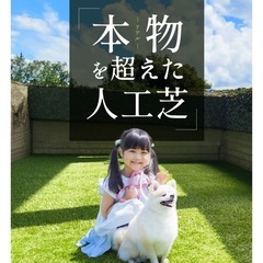 未使用、人工芝 Azwill 1m×2.2mぐらい