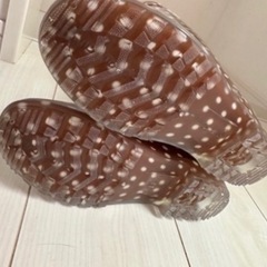 レインブーツ　水玉　Ｍサイズ　24センチ　☔️の画像
