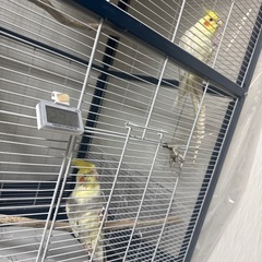 新聞紙をお譲りいただきたいです