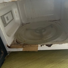 アイリスオオヤマ　電子レンジの画像