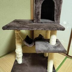 キャットタワー