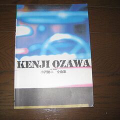 小沢健二　ギター弾き語りの画像