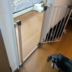 難あり　ベビーゲート