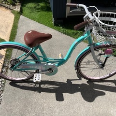 子供用　自転車　20インチ　女の子　ピンク×エメラルドグリーン　オートライトの画像