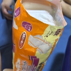 犬用おむつパッドMの画像