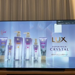 　LG 有機EL TV　OLED65C1PJB