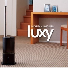 6/26処分。差し上げます。APIX加湿器　Luxy AHD-148