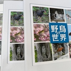 サムネイル