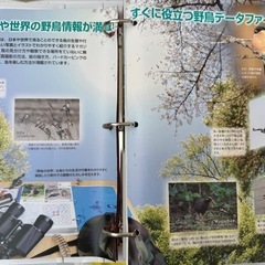 ディアゴスティーニ 野鳥の世界 1～3巻の画像