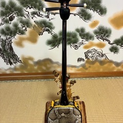 沖縄三線！新品！貴重！知念大工型！本蛇皮！本張り！【一枚張り