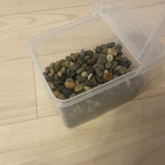 大磯砂　水槽　アクアリウムに