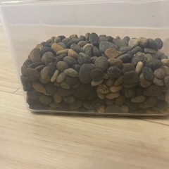 大磯砂　水槽　アクアリウムにの画像