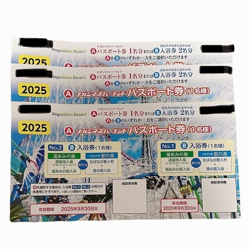 【本日最終お値下げ中】ナガシマスパーランド 乗り放題パスポート券 【本日最終お値下げ中】ナガシマスパーランド 乗り放題パスポート券
