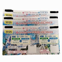 ナガシマスパーランド　パスポート　大人3枚の画像