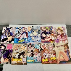 【全30冊以上】　美少女　コミック　色々詰め合わせの画像
