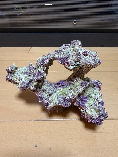 擬岩　レイアウト　アクアリウム　2個