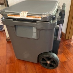 ＹＥＴＩクーラーボックスの画像