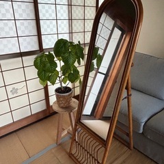藤の姿見　鏡の画像