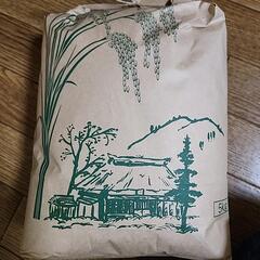 令和6年産　お米　5キロ
