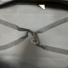 キャリーケース(布)の画像